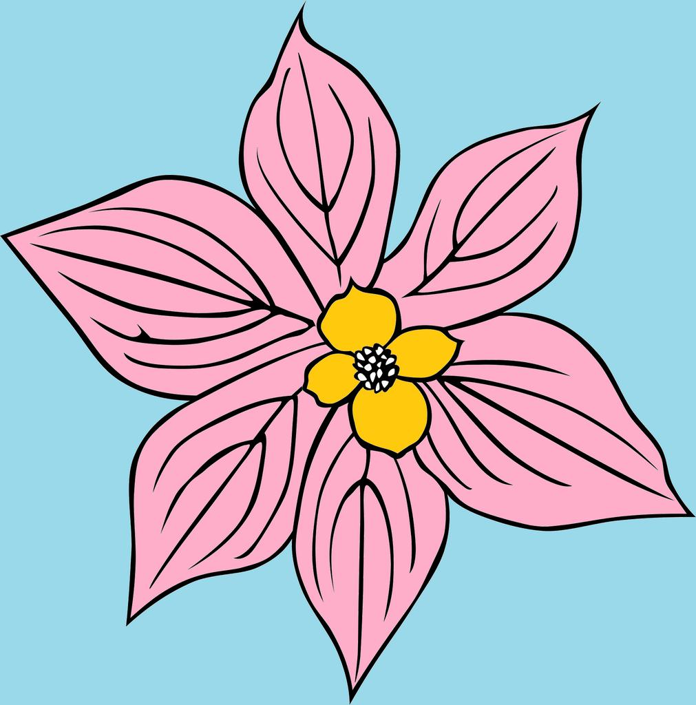 Coloring book nice flower